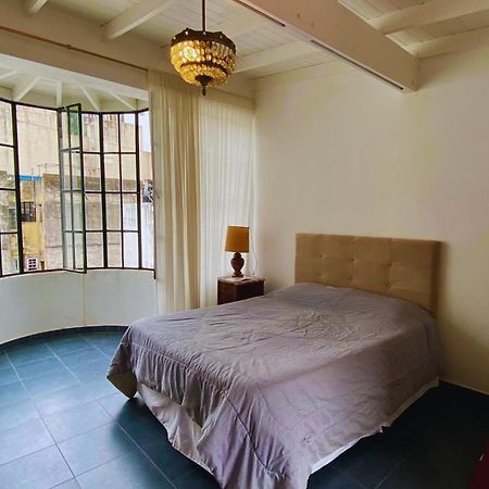 בואנוס איירס La Casa Del Loro, San Telmo - 8 Habitaciones מראה חיצוני תמונה