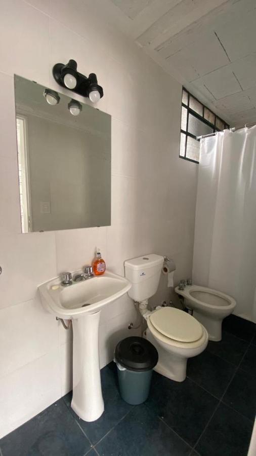 בואנוס איירס La Casa Del Loro, San Telmo - 8 Habitaciones מראה חיצוני תמונה
