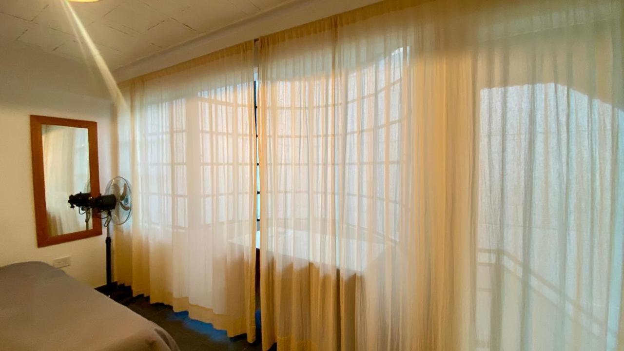 בואנוס איירס La Casa Del Loro, San Telmo - 8 Habitaciones מראה חיצוני תמונה